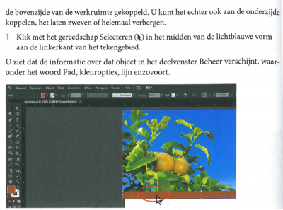 Volg cursus illustrator bij het NTI