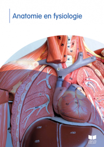 Anatomie en fysiologie | MBO Verpleegkundige