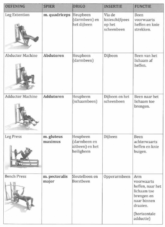 Basisopleiding Fitness Coach